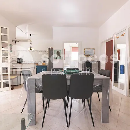 Baglivi's Flat *